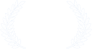 Bridge Fest