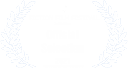 Fiction Film Festival