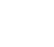 Swedish International Film Festival