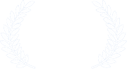 Viddy Awards