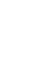 V.i.Z. Film Fest