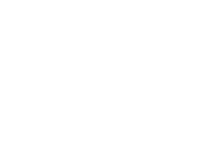 The Best Film Festival