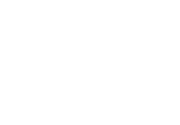 Black Swan International Film Festival