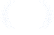 Bridge Fest