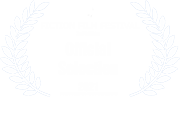 Fiction Film Festival