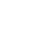 Focus International Film Festival