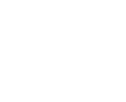 V.i.Z. Film Fest