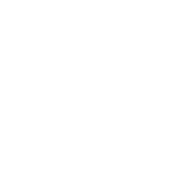 Best Artist