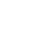 Best Screenwriter 2025