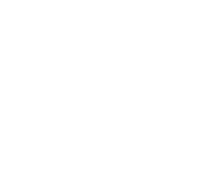 The Detroit Film Network Awards