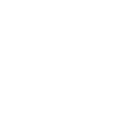Golden Odysseus at the Ithaca International Film Contest