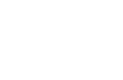 Black Swan International Film Festival