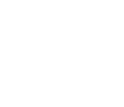 Cinema Carnival Film Festival