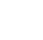 Japan International Film Festival