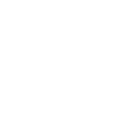Toronto Indie Filmmakers Festival