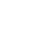 Austin Action Film Fest