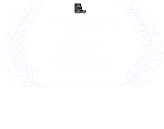 The Best Film Festival