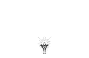ZepFEST