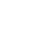 South Film and Arts Academy Festival