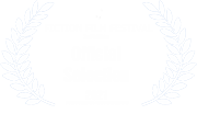 Fiction Film Festival