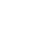 Southern States Indie FanFilmFest