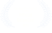 The Best Film Festival