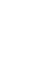 V.i.Z. Film Fest