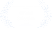 Alternative Indie Pro Film Festival