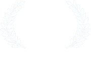 Bridge Fest