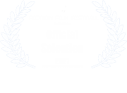 Fiction Film Festival