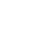 Mindfield Film Festival - Albuquerque