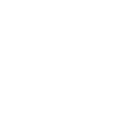 Toronto Indie Filmmakers Festival