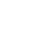 V.i.Z. Film Fest